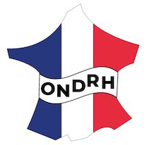 Logo partenaire 3